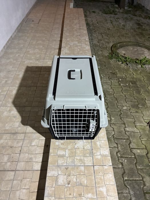 Caixa transporte animais