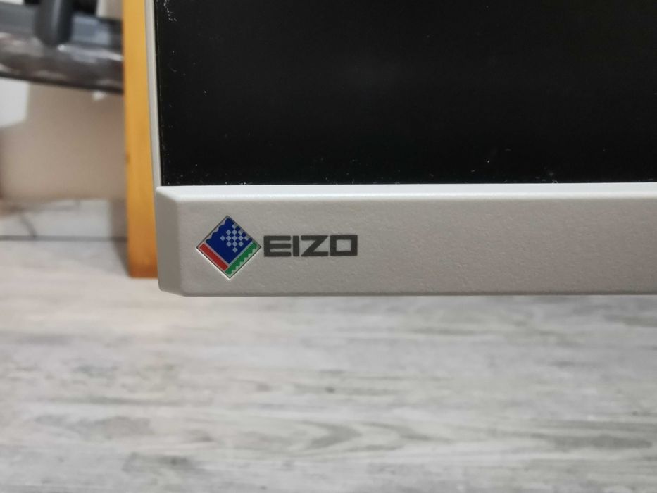 Monitor EIZO EV2455-GY