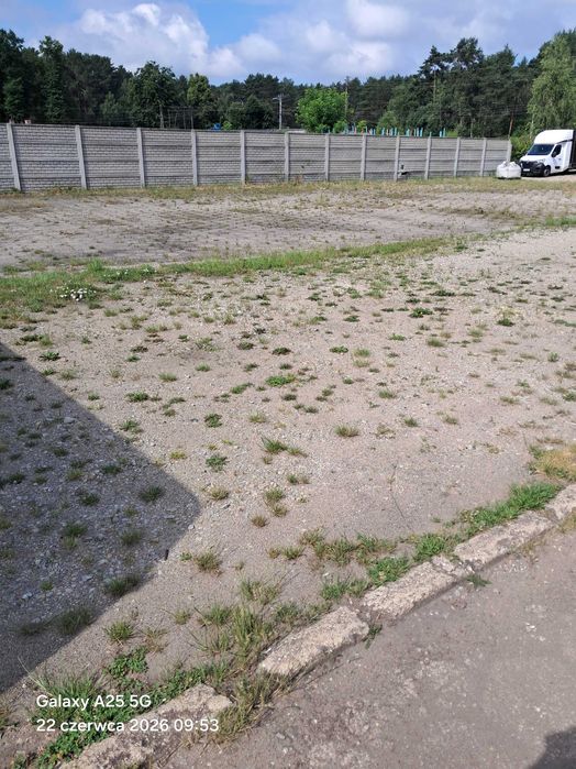 Wydzierżawię plac pod działalność