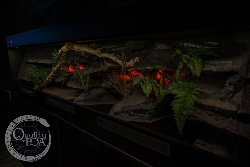 Ogromne terrarium 250×60×70. NOWE !