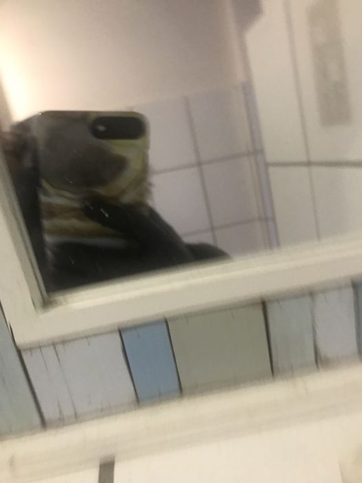 Lustro Skandynawskie