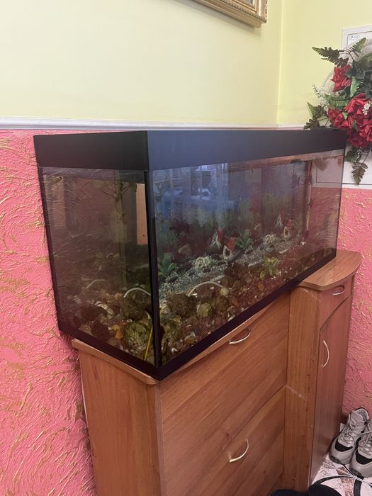 Акваріум для рибок скляний