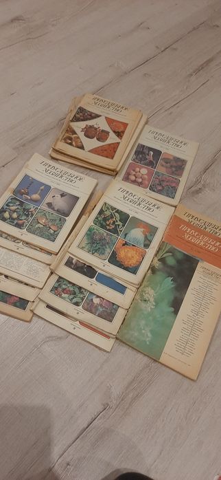 Лот. Книги и журналы по оформлению сада и дома