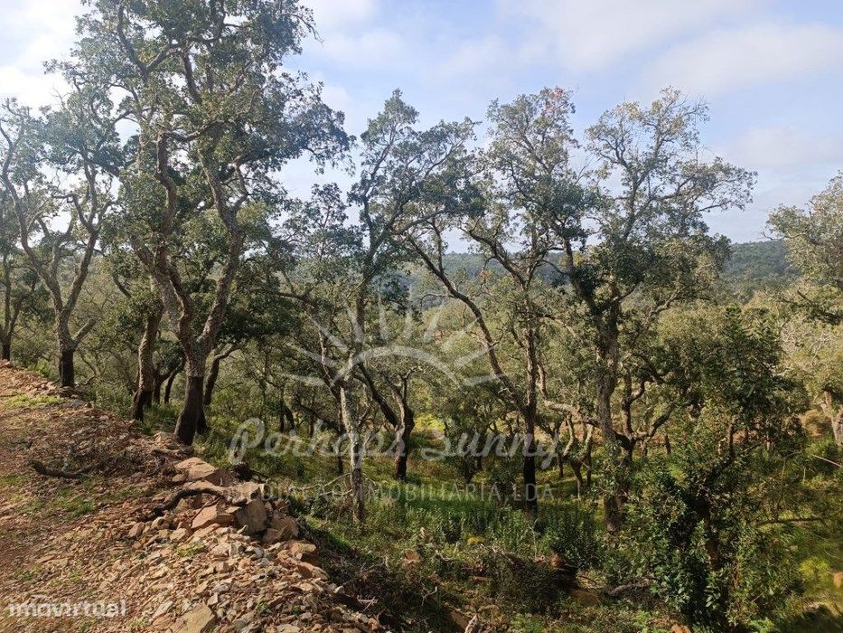 Terreno Rustico São Francisco da Serra