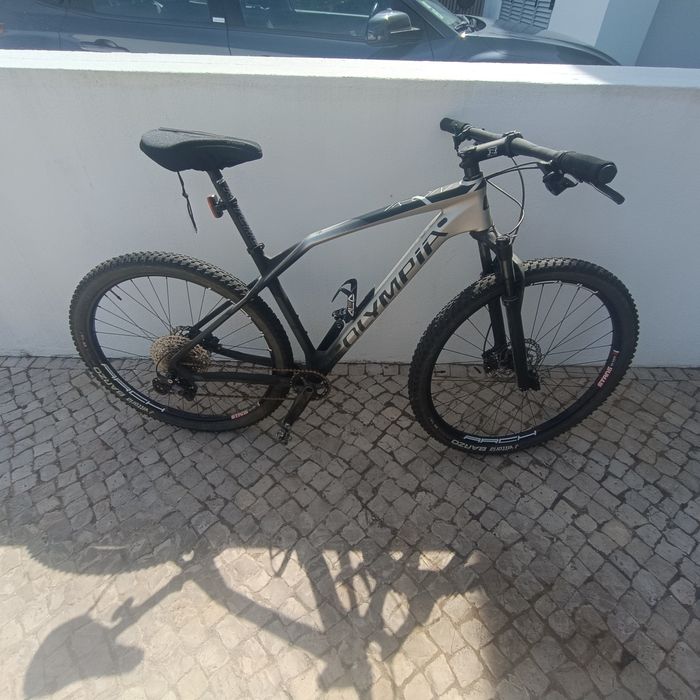 Bicicleta Olympia Iron