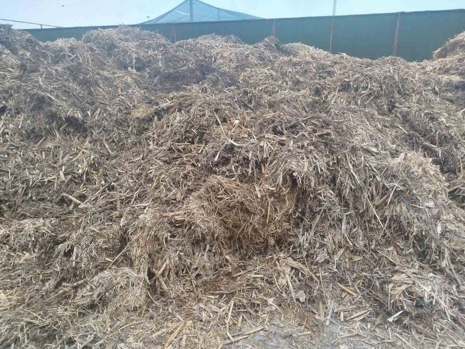 Продам кукурузу и сено насыпью,дешево