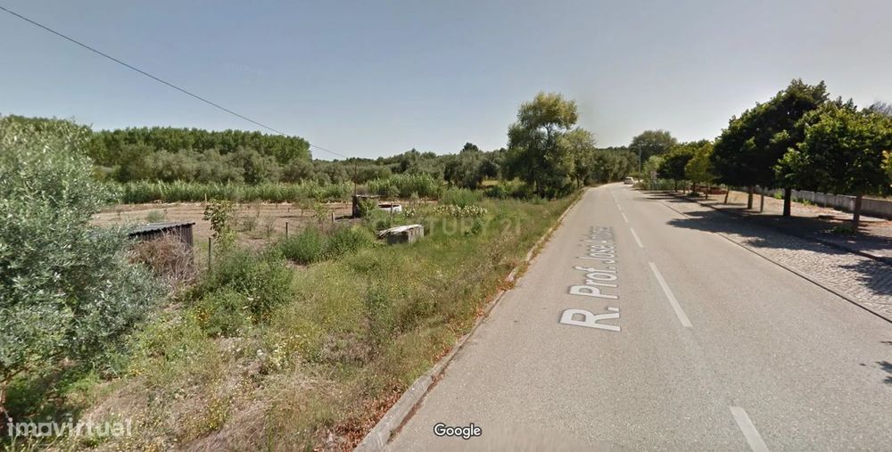 Terreno Rústico || Meirinhas || Pombal
