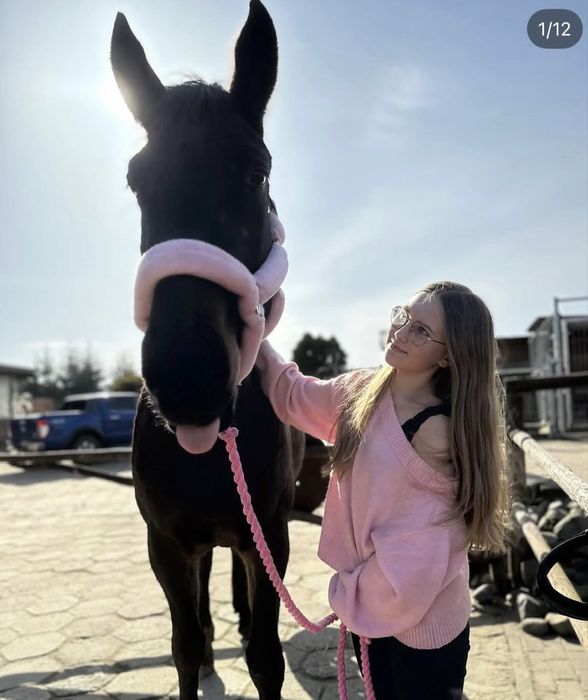 Loxy R  Cudowna Klacz