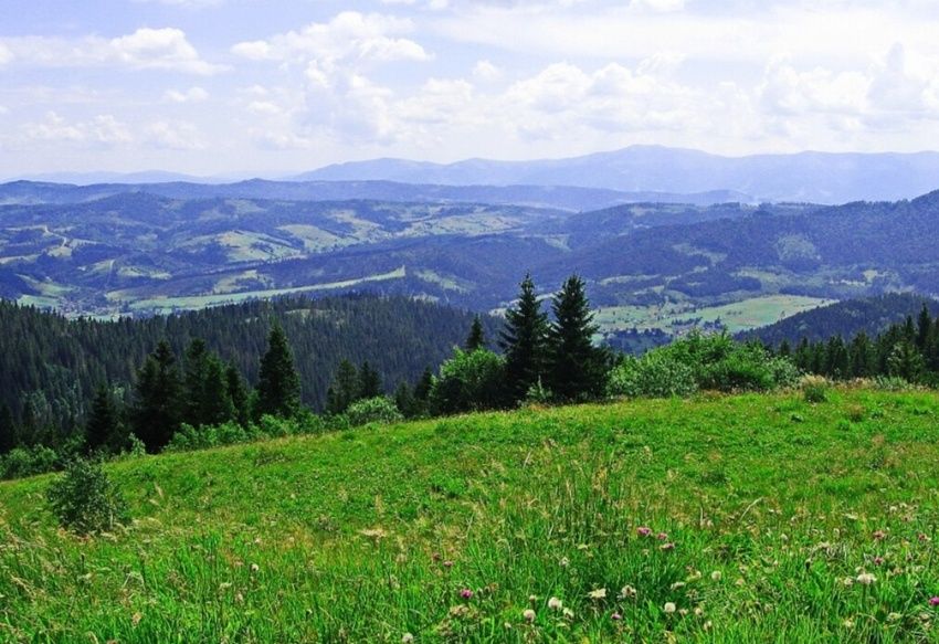 Продаж ділянок в Славське Карпати