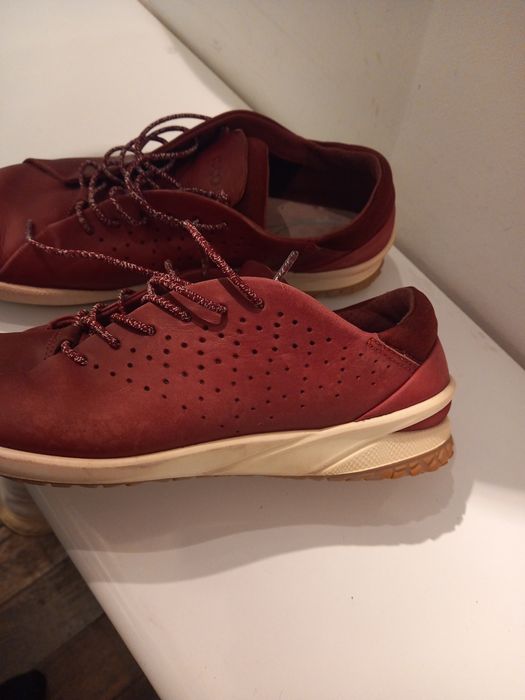 Buty Ecco damski
