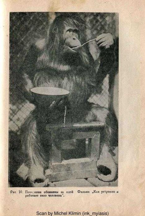 Патокинография в психиатрии и невропатологии | Сухаребский Лазарь 1936