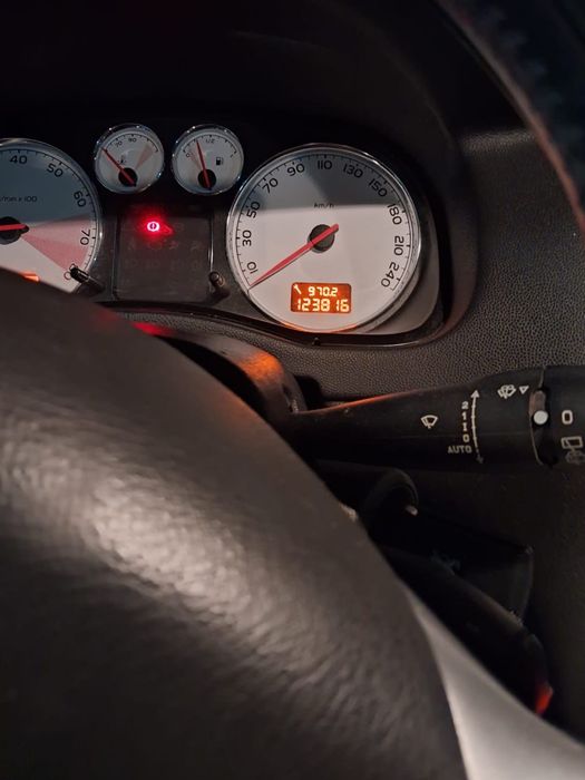 Peugeot 307 1.6 i -2007 — photo 3
