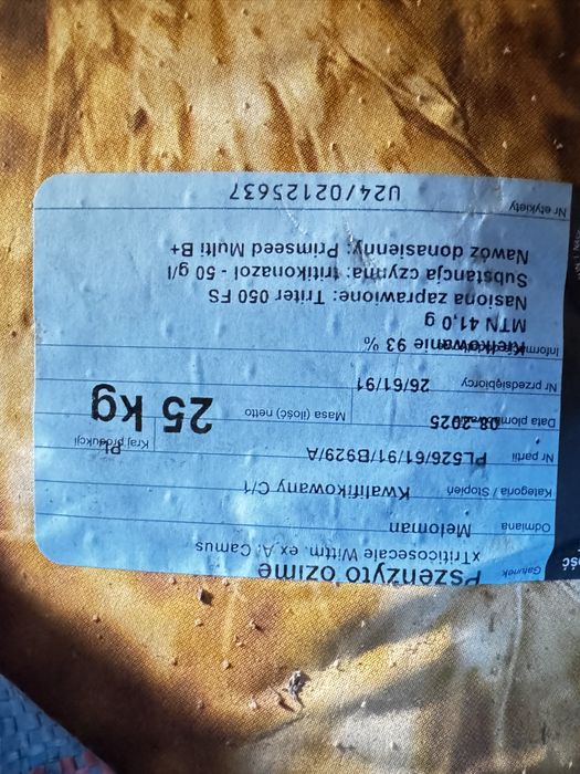 Pszenżyto Meloman