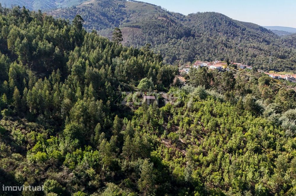 Terreno em Folques, Arganil