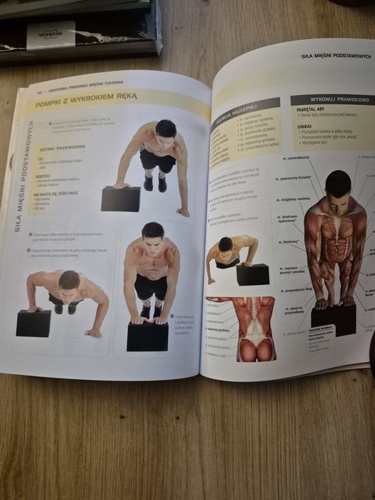 Anatomia treningu mięśni tułowia