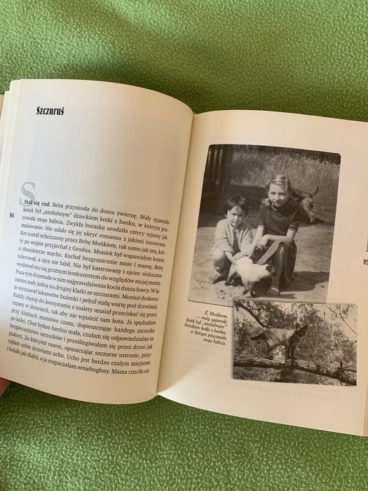 Dorota Sumińska Autobiografia na czterech łapach