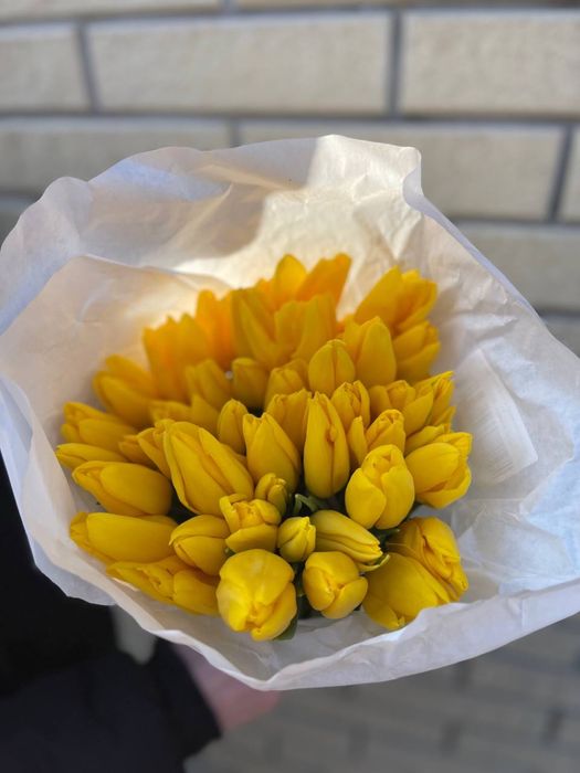 Тюльпани Українські | Голландські | Букет або поштучно | Малий ГУРТ