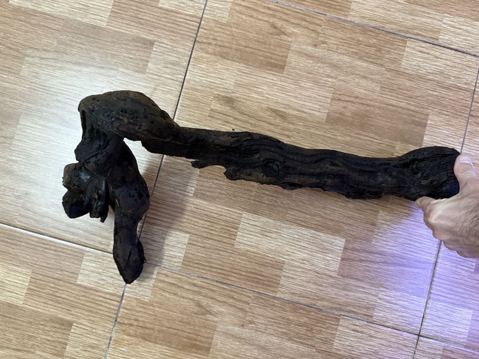 Tronco para aquário