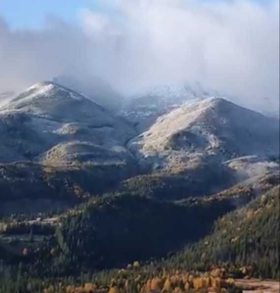 Від власника земельна ділянка в с.Дземброня.