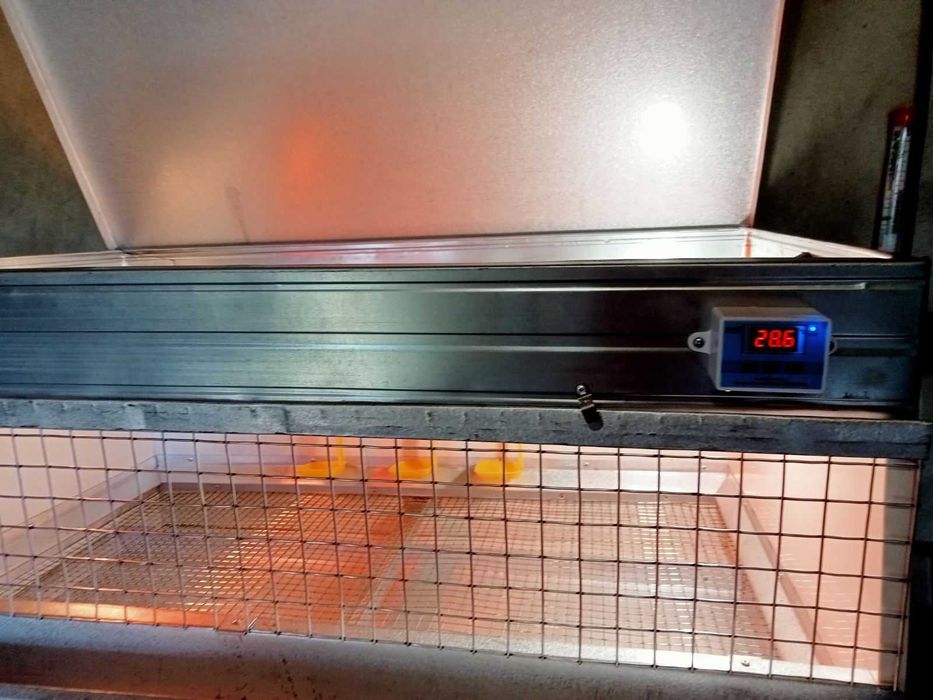 Брудер для птиц автоматический "Профи" длиною 1 м и 1,2 м