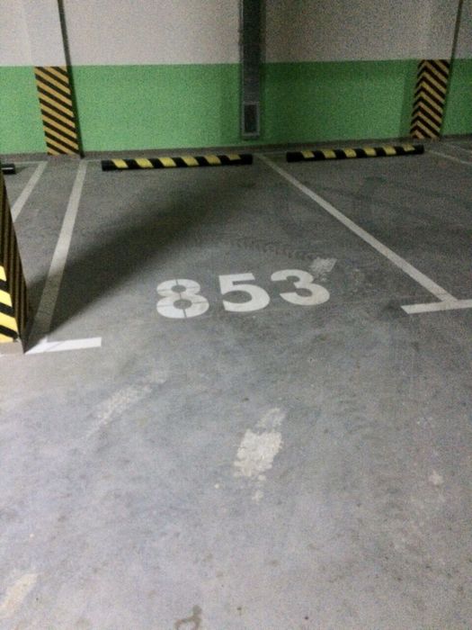 Паркинги Аркадия только жемчужины владелец