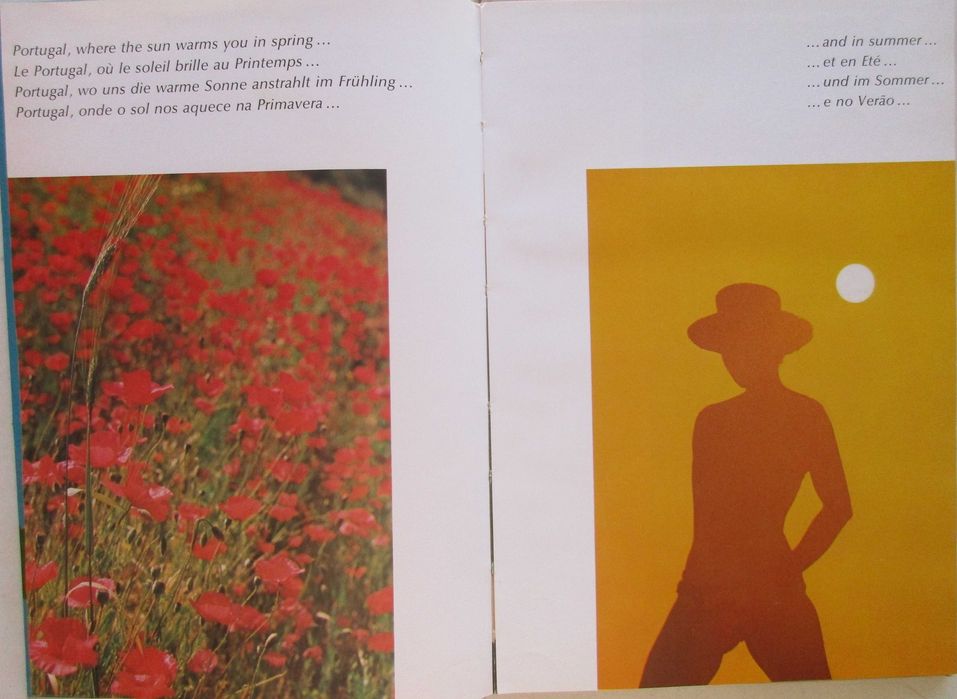 Asta de Almeida d'Eça - - - Portugal - - - - - Livro