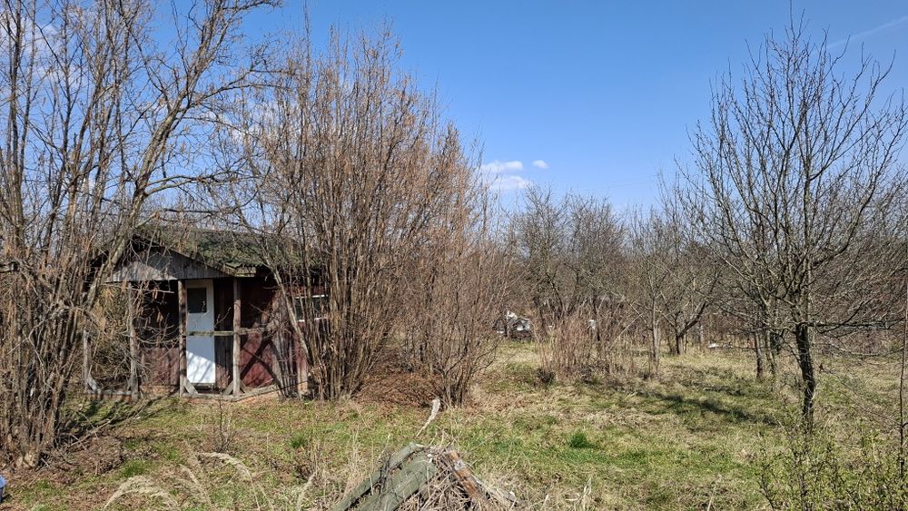 Działka ROD Lublin  Czechów, Choiny, Elizówka