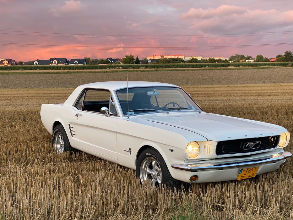 Ford Mustang 1966/67/68 do ślubu – TY PROWADZISZ – RASCAR.PL