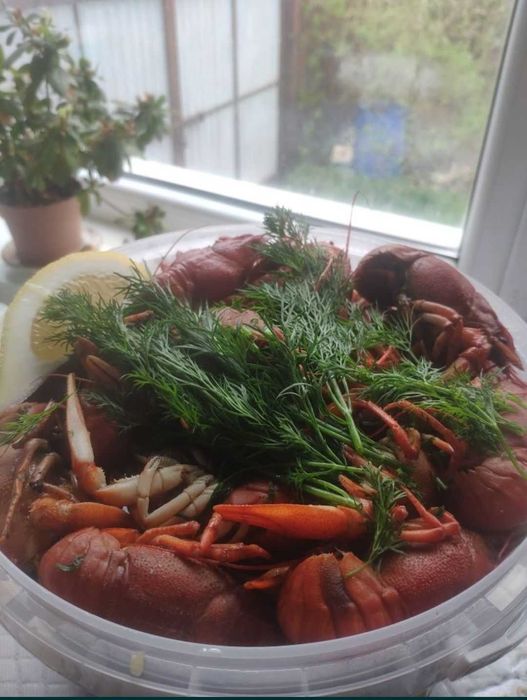 Продам свежий рак есть варка доставка