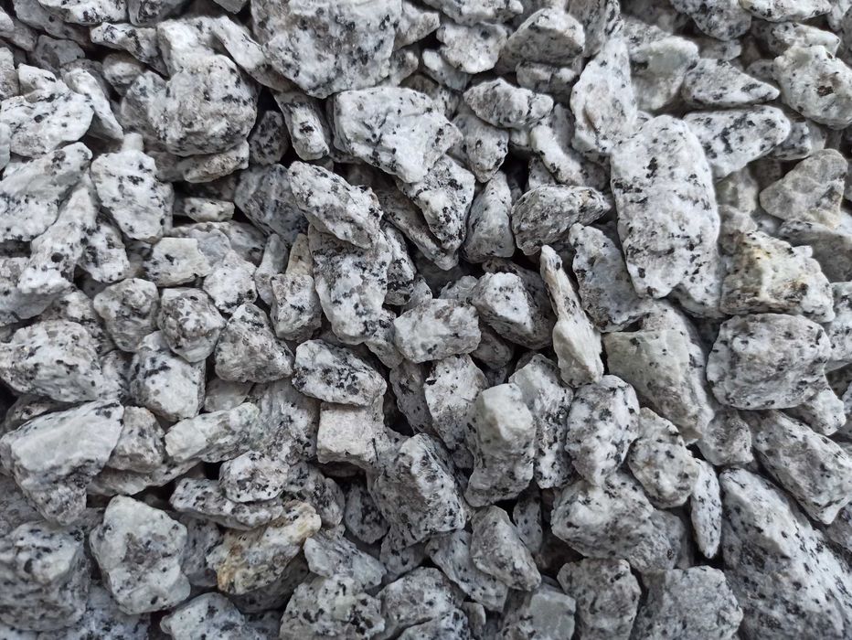 Grys Granitowy Dalmatyńczyk Kamień szary biała marianna bazalt kora
