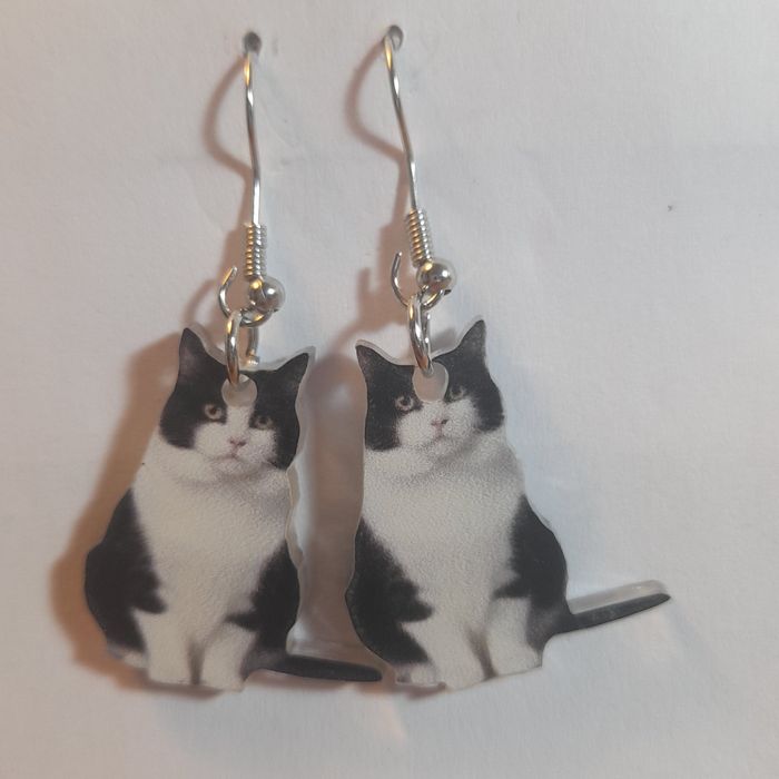 Brincos gatos muito fofos .