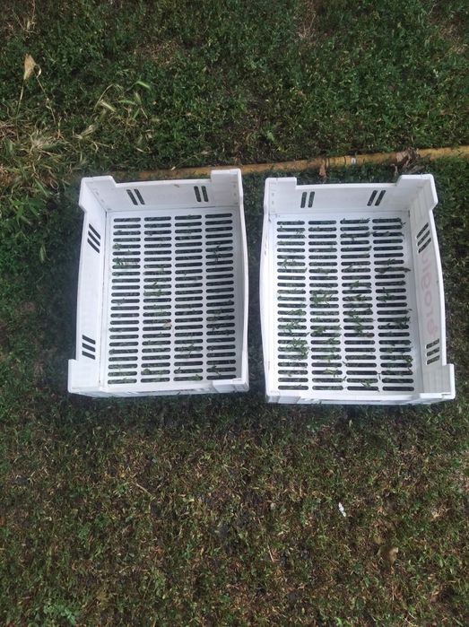 Ящики для хранения овощей и фруктов