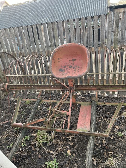 Кінська гребачка