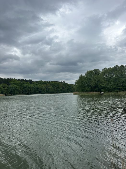 Dzialka starodrzew 1336 m2 Nienawiszcz blisko jeziora prad MPZP