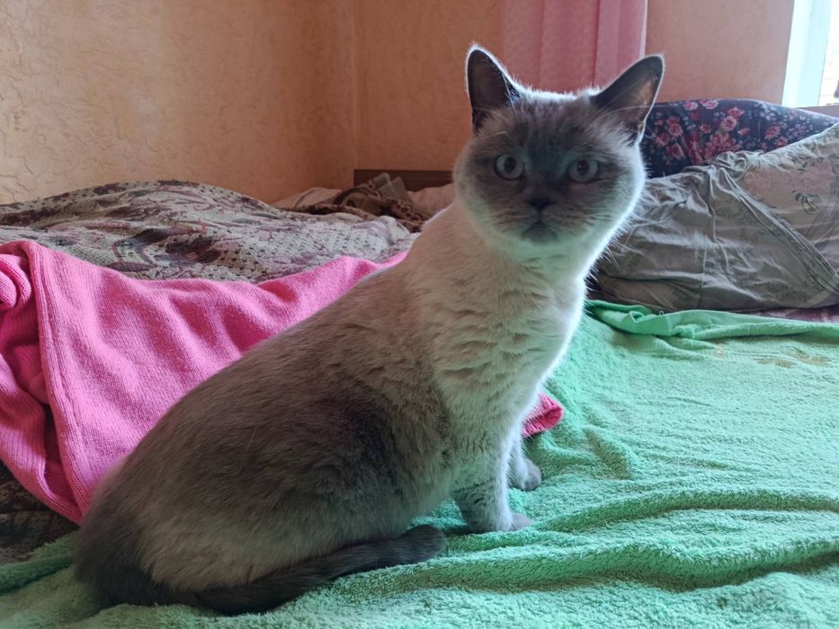 Ася шукає люблячу родину