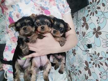 Супер міні і міні,дівчатка і хлопчики