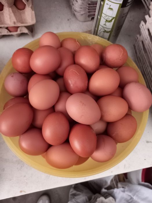 Ovos  caseiros..