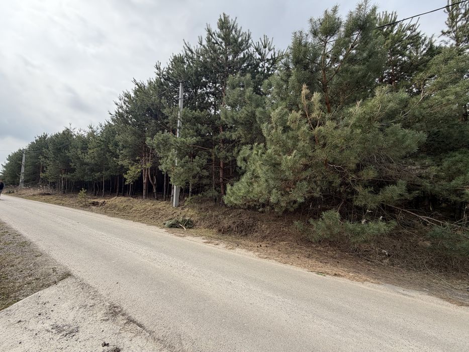 Продам ділянку під забудову в лісі 12,5 соток с. Бобриця, без %