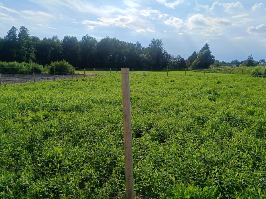 Działka 1058 m² 
Wydane WZ 
W pobliżu media
Działka budowlana 
W przyszłości powstanie w pobliżu SKM do Warszawy 
W pobliżu miejscowo – pohled 2