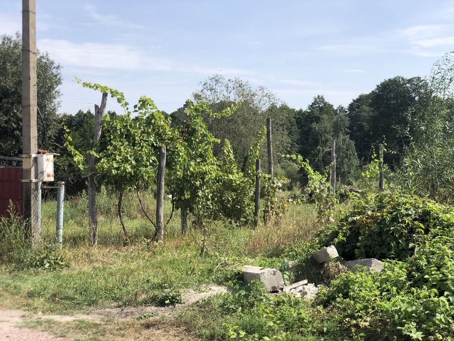 Пр зем 20с Зазимье село свет газ соседи интер природа соседи идеальный