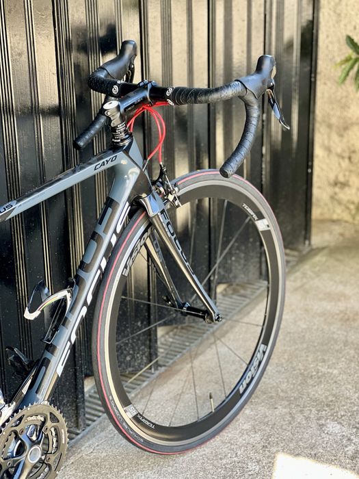 Focus cayo carbono