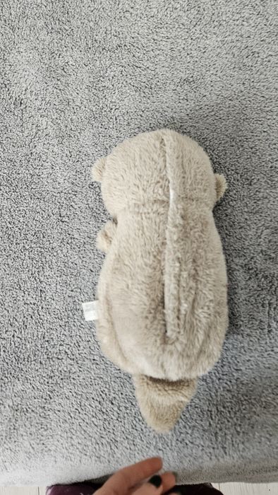 Wydra - szumiś pluszowy