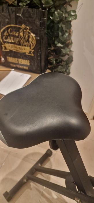 Bicicleta estatica Promaster