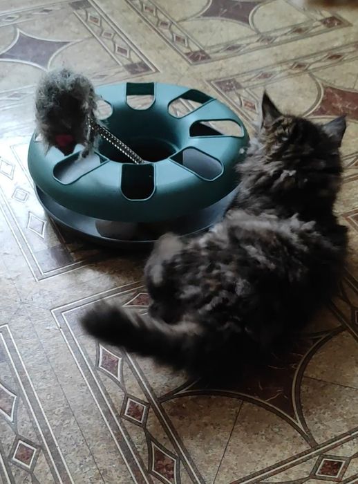 Іграшка для котиків з мишкою та мячиком