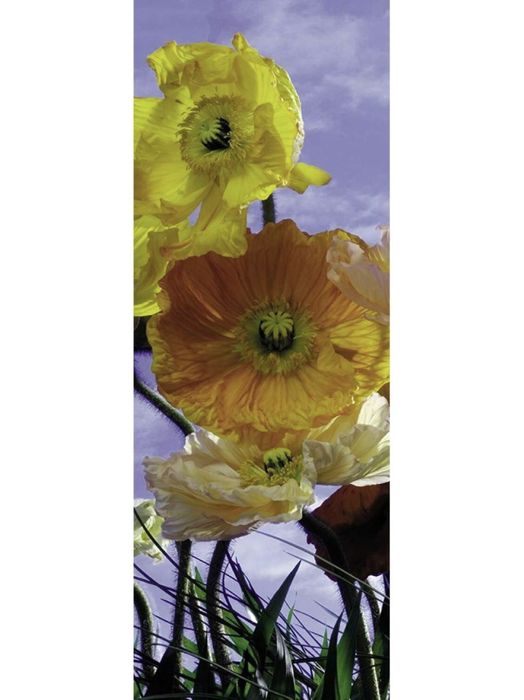 Вузькі фотошпалери для дверей Komar (Німеччина)