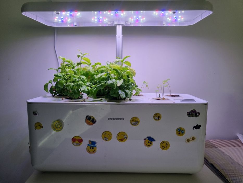 Cultivo hidroponico Prozis