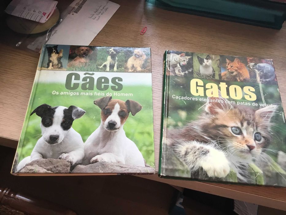 livros - cães e gatos