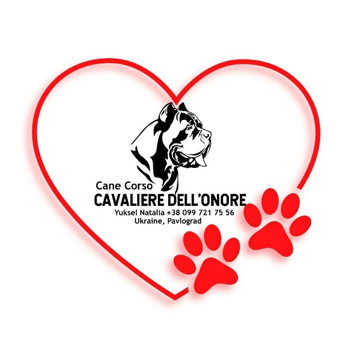 Чемпион Молдовы и Румынии