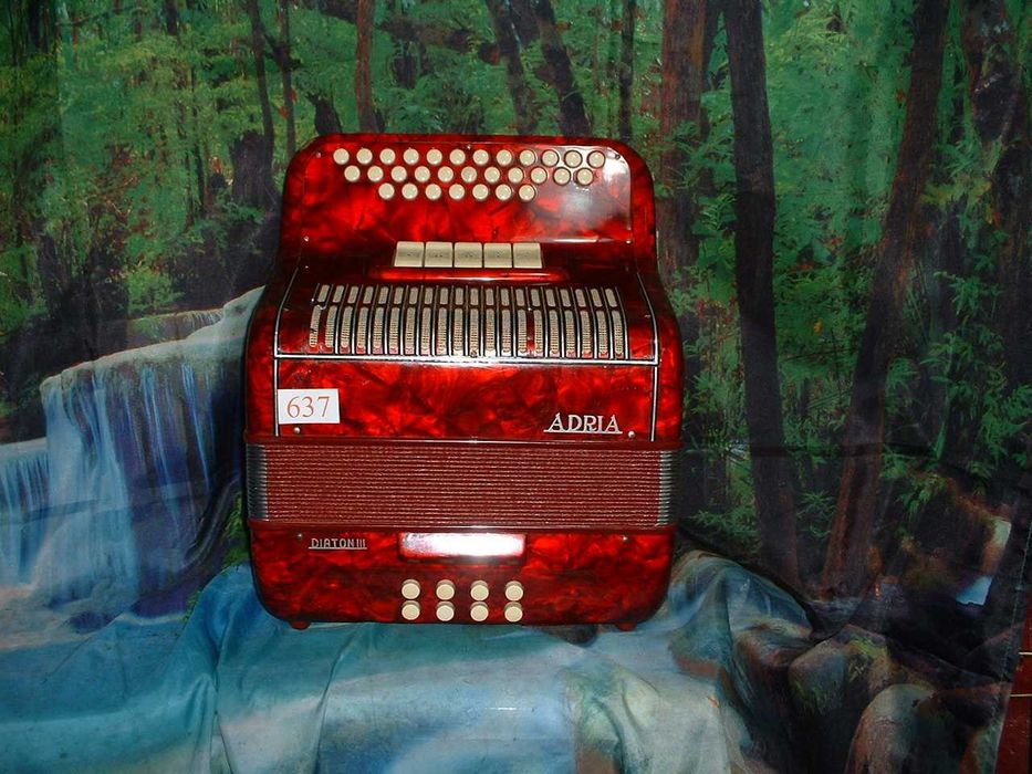 Promoção de Acordeões de concertinas em lote