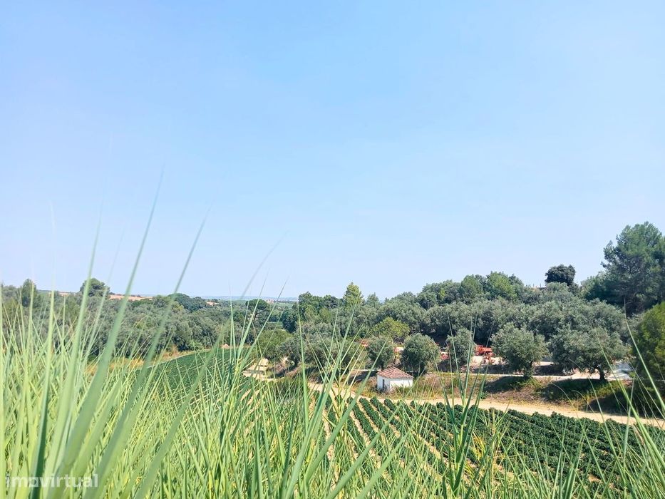 Terreno para Venda - 707 m²